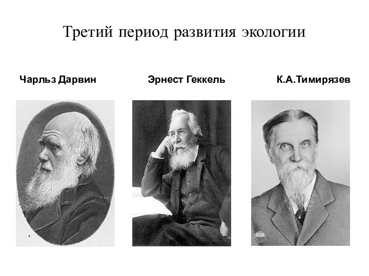 Третий период развития экологии Чарльз Дарвин Эрнест Геккель К.А.Тимирязев