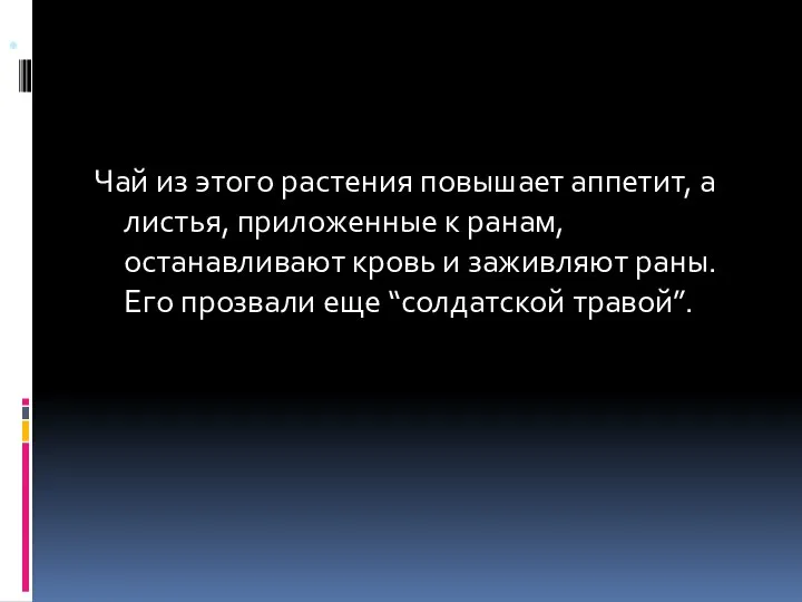 . Чай из этого растения повышает аппетит, а листья, приложенные к