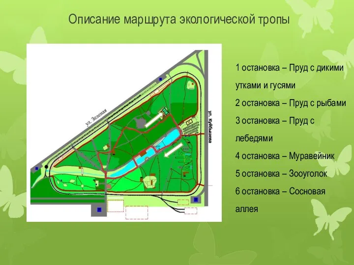 Описание маршрута экологической тропы 1 остановка – Пруд с дикими утками