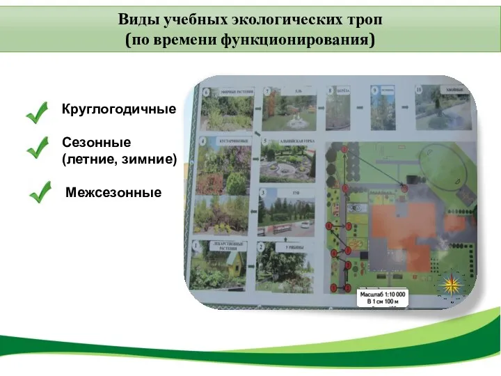 Виды учебных экологических троп (по времени функционирования) Круглогодичные Сезонные (летние, зимние) Межсезонные