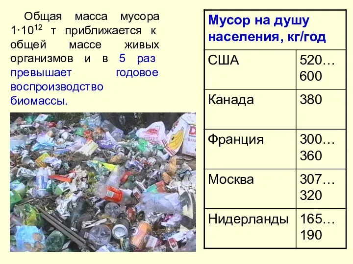 Общая масса мусора 1·1012 т приближается к общей массе живых организмов