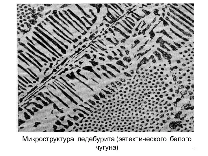 Микроструктура ледебурита (эвтектического белого чугуна)