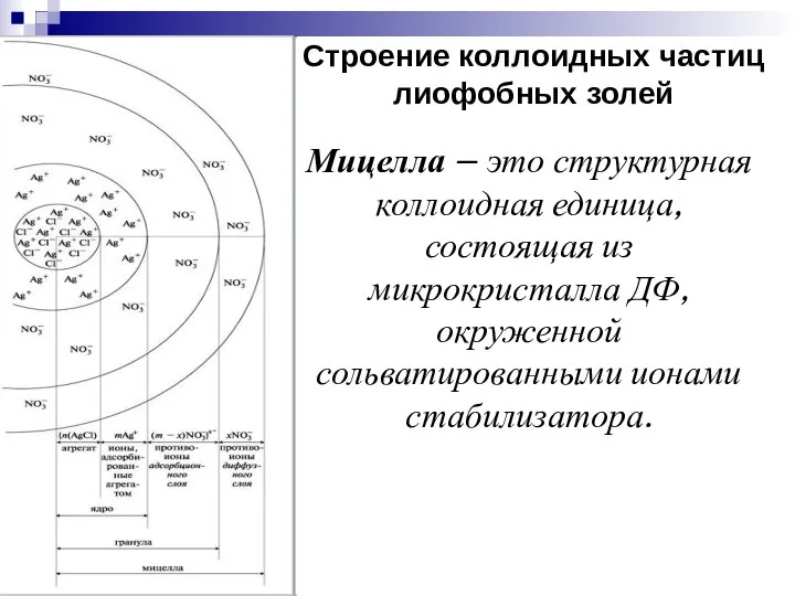 Строение коллоидных частиц лиофобных золей Мицелла – это структурная коллоидная единица,