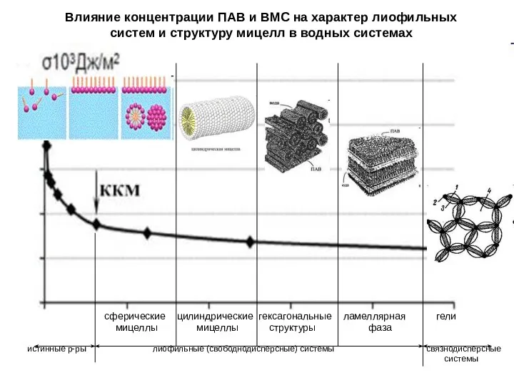 Влияние концентрации ПАВ и ВМС на характер лиофильных систем и структуру