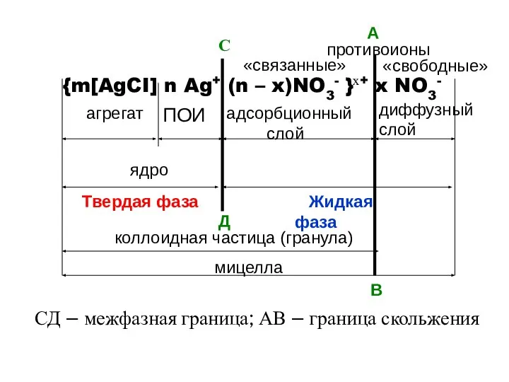 агрегат ПОИ адсорбционный диффузный слой слой противоионы ядро коллоидная частица (гранула)