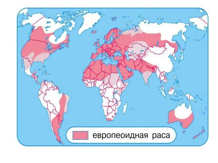 Распределение основных рас по земному шару