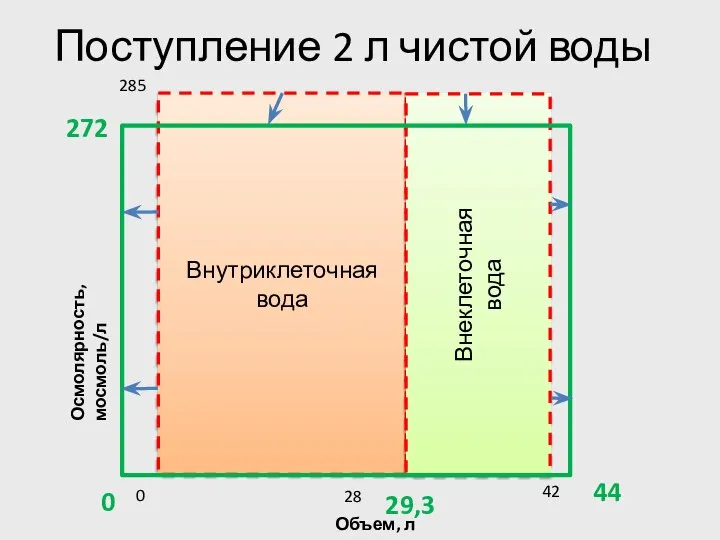 Поступление 2 л чистой воды Внутриклеточная вода Внеклеточная вода Объем, л