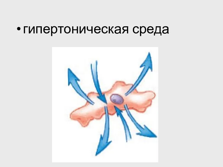 гипертоническая среда