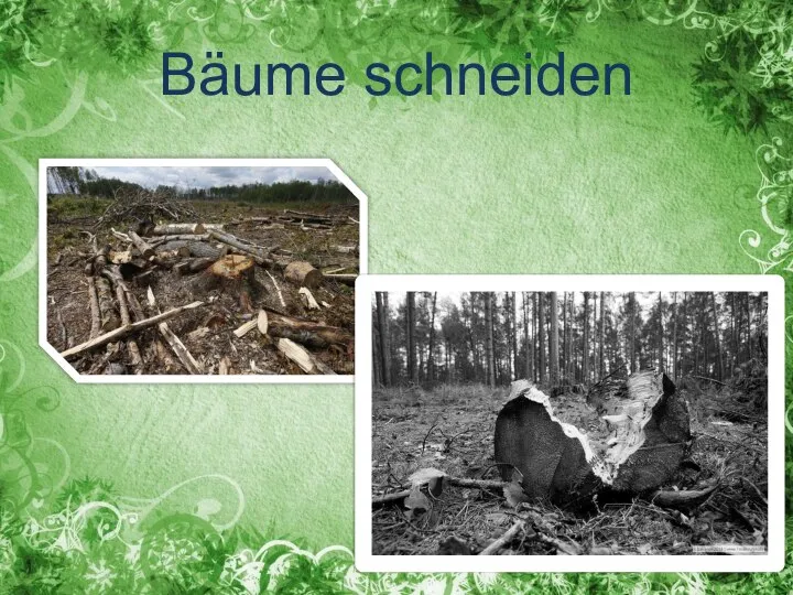 Bäume schneiden