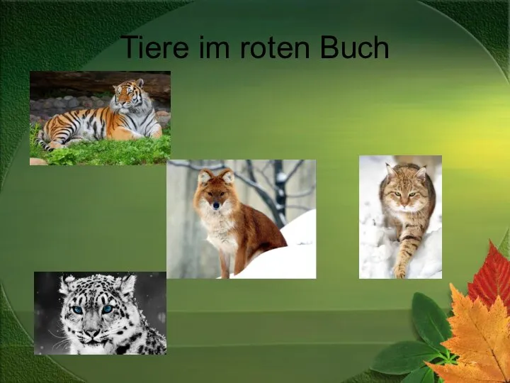 Tiere im roten Buch