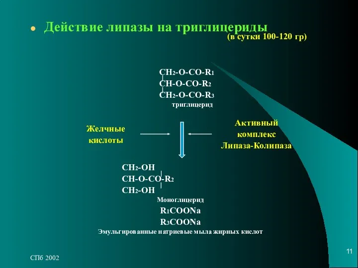 СПб 2002 Действие липазы на триглицериды СН2-О-СО-R1 CH-O-CO-R2 CH2-O-CO-R3 триглицерид Желчные