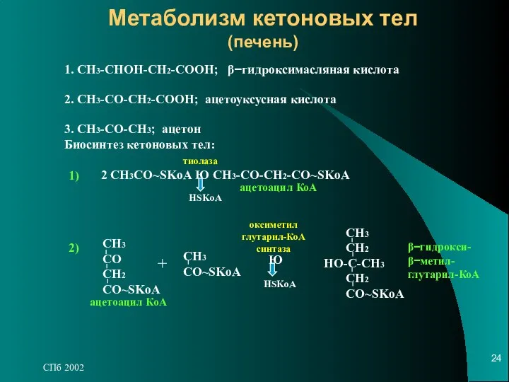 СПб 2002 Метаболизм кетоновых тел (печень) 1. СН3-СНОН-СН2-СООН; β−гидроксимасляная кислота 2.