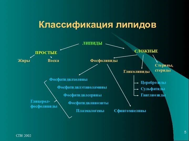 СПб 2002 Классификация липидов ЛИПИДЫ ПРОСТЫЕ Жиры Воска СЛОЖНЫЕ Фосфолипиды Гликолипиды