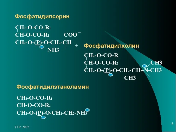 СПб 2002 Фосфатидилсерин СН2-О-СО-R1 CH-O-CO-R2 COO CH2-O-(P)-O-CH2-CH NH3 Фосфатидилэтаноламин СН2-О-СО-R1 CH-O-CO-R2