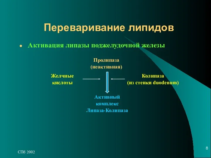 СПб 2002 Переваривание липидов Активация липазы поджелудочной железы Пролипаза (неактивная) Желчные