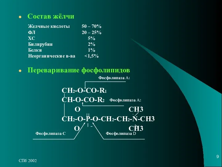 СПб 2002 Состав жёлчи Желчные кислоты ФЛ ХС Билирубин Белки Неорганические