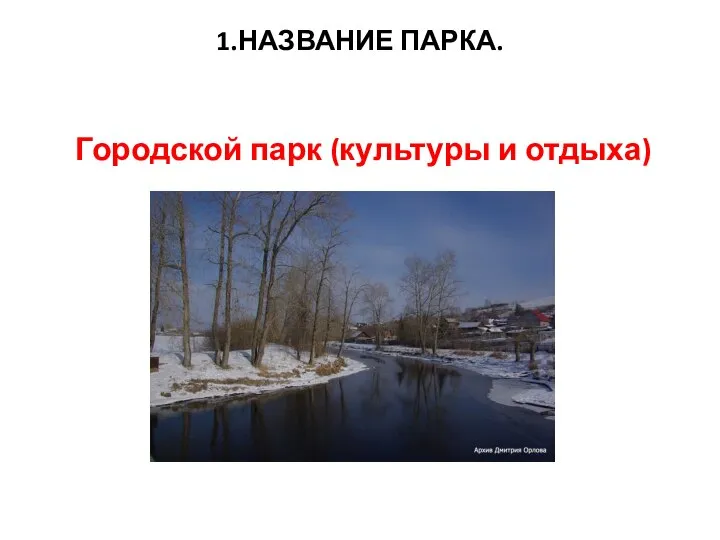 1.НАЗВАНИЕ ПАРКА. Городской парк (культуры и отдыха)