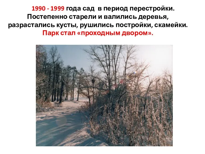 1990 - 1999 года сад в период перестройки. Постепенно старели и