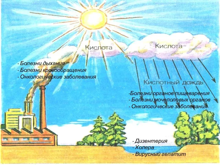 - Болезни дыхания - Болезни кровообращения - Онкологические заболевания - Дизентерия