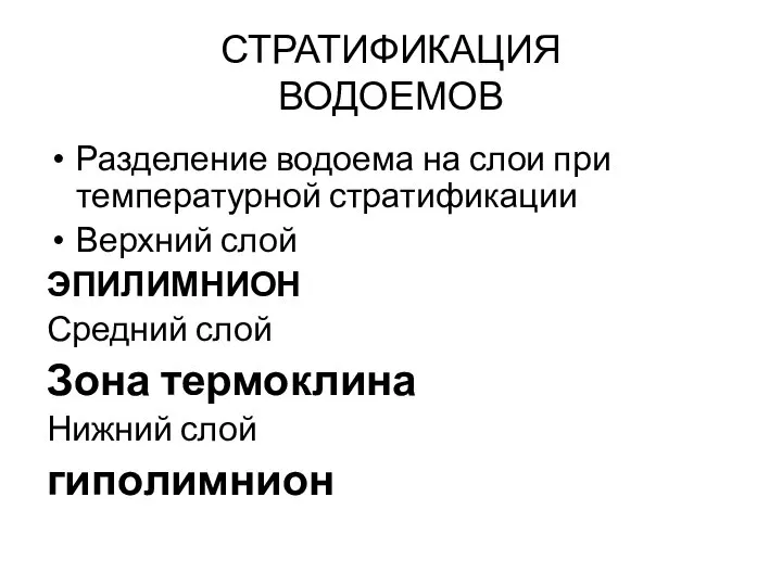 СТРАТИФИКАЦИЯ ВОДОЕМОВ Разделение водоема на слои при температурной стратификации Верхний слой