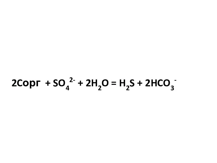 2Cорг + SO42- + 2H2O = H2S + 2HCO3-
