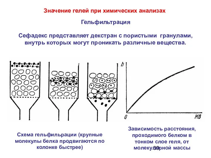 Сефадекс представляет декстран с пористыми гранулами, внутрь которых могут проникать различные