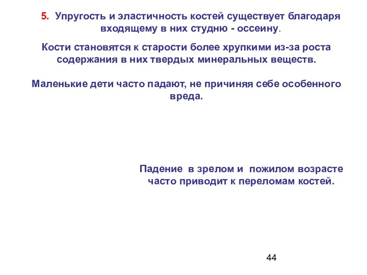 5. Упругость и эластичность костей существует благодаря входящему в них студню