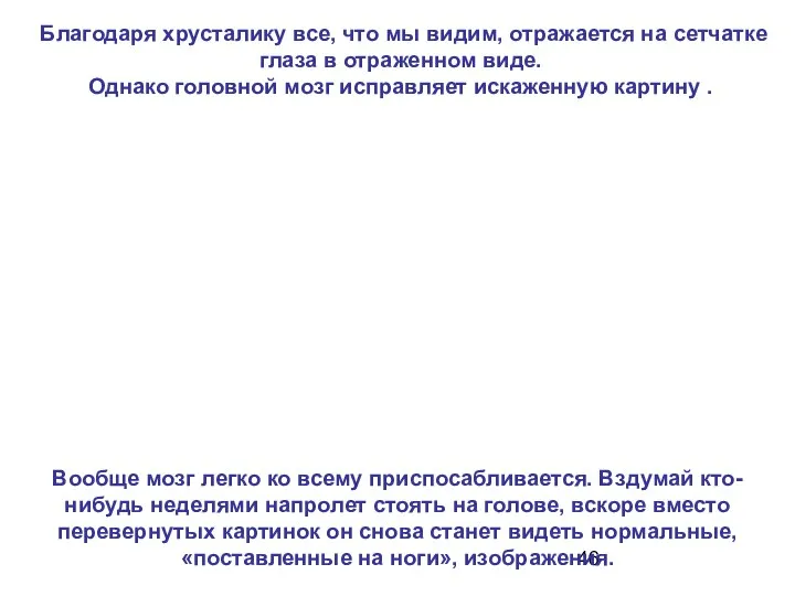 Благодаря хрусталику все, что мы видим, отражается на сетчатке глаза в