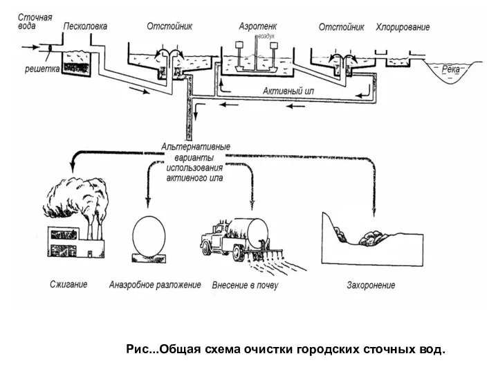 Рис...Общая схема очистки городских сточных вод.