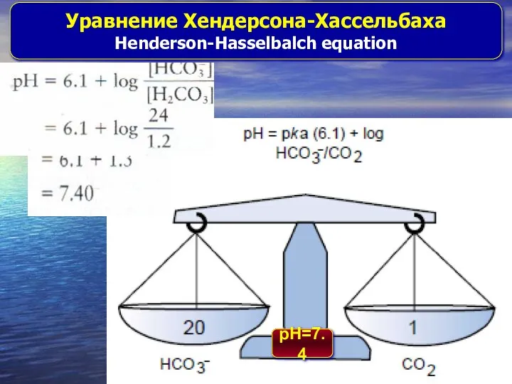 Уравнение Хендерсона-Хассельбаха Henderson-Hasselbalch equation pH=7.4