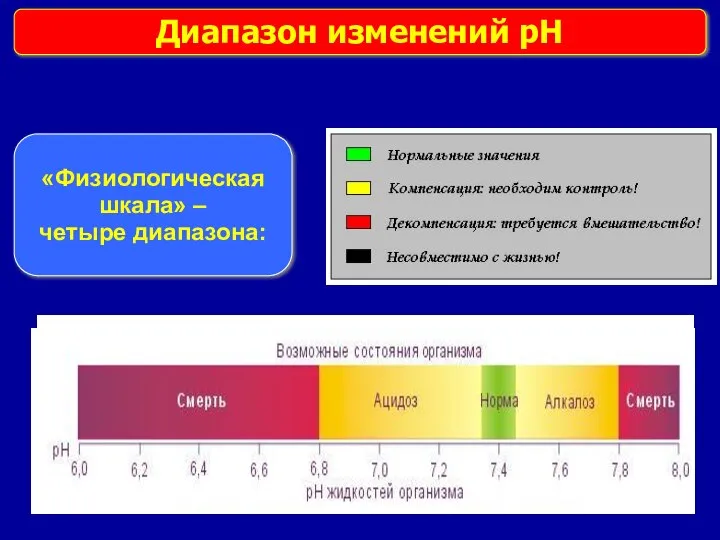 Диапазон изменений pH «Физиологическая шкала» – четыре диапазона: