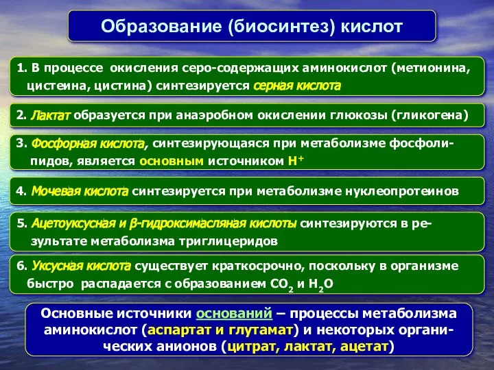 Образование (биосинтез) кислот 1. В процессе окисления серо-содержащих аминокислот (метионина, цистеина,