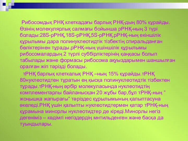 Рибосомдық РНҚ клеткадағы барлық РНҚ-дың 80% құрайды.Өзінің молекулярлық салмағы бойынша рРНҚ-ның