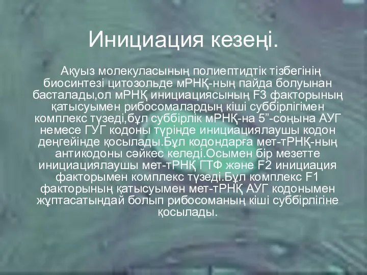 Инициация кезеңі. Ақуыз молекуласының полиептидтік тізбегінің биосинтезі цитозольде мРНҚ-ның пайда болуынан