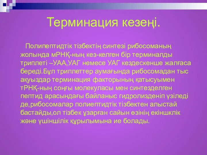 Терминация кезеңі. Полипептидтік тізбектің синтезі рибосоманың жолында мРНҚ-ның кез-келген бір терминалды