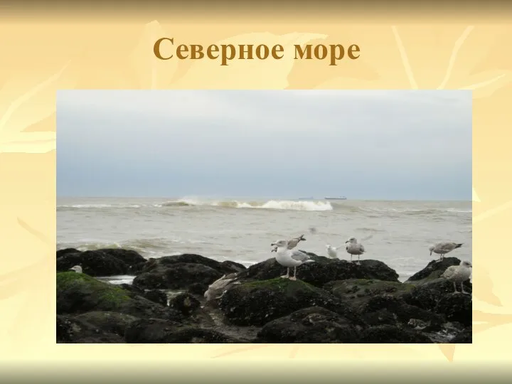 Северное море