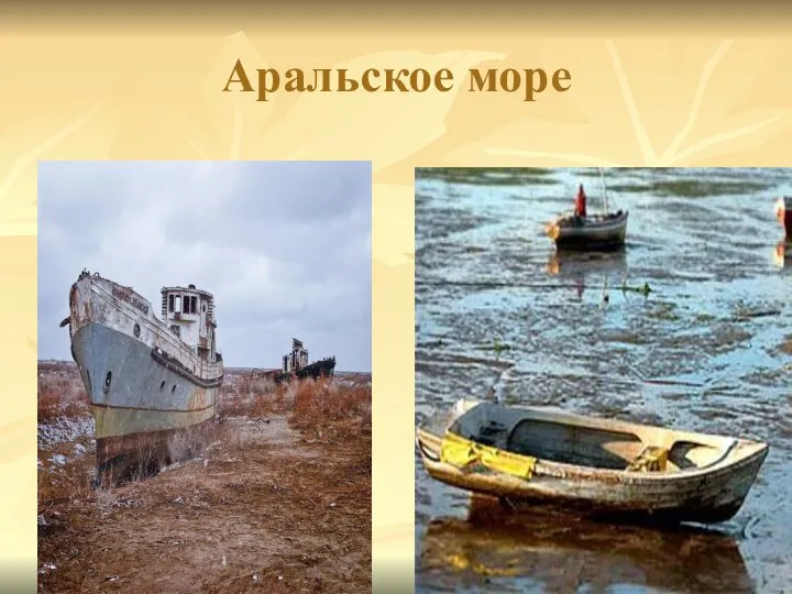 Аральское море