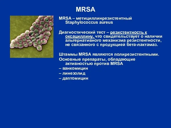 MRSA MRSA – метициллинрезистентный Staphylococcus аureus Диагностический тест – резистентность к