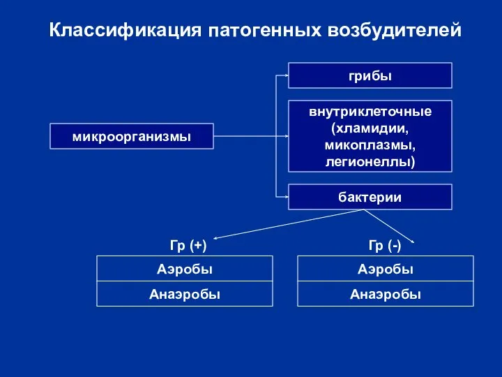 Классификация патогенных возбудителей микроорганизмы грибы внутриклеточные (хламидии, микоплазмы, легионеллы) бактерии Гр (+) Гр (-)