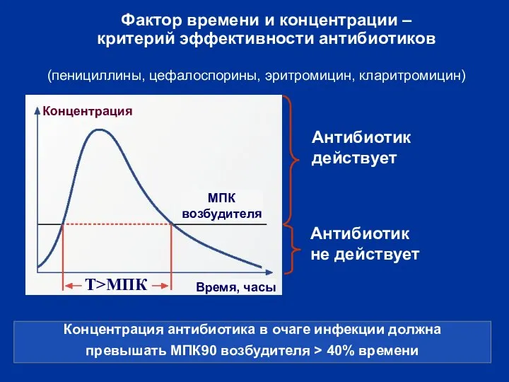 Фактор времени и концентрации – критерий эффективности антибиотиков Концентрация антибиотика в