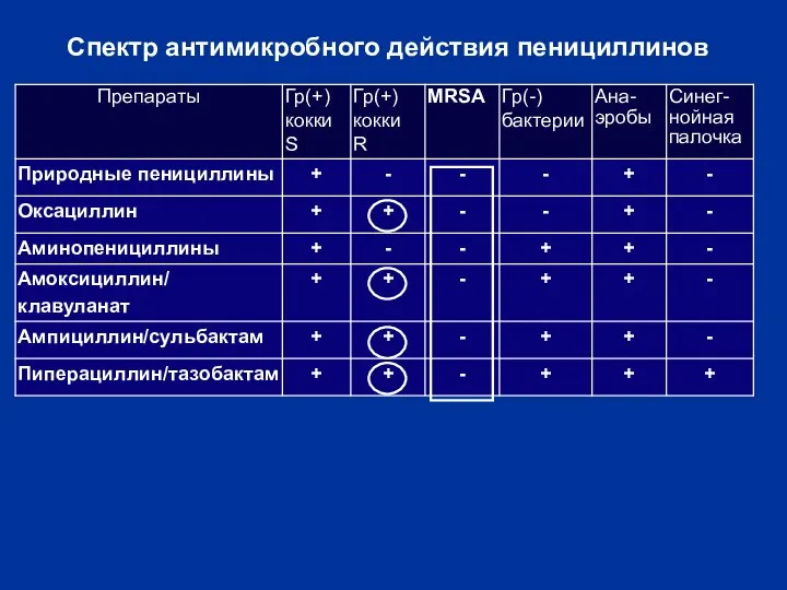 Спектр антимикробного действия пенициллинов