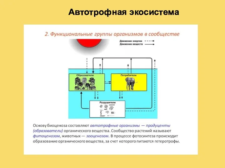 Автотрофная экосистема