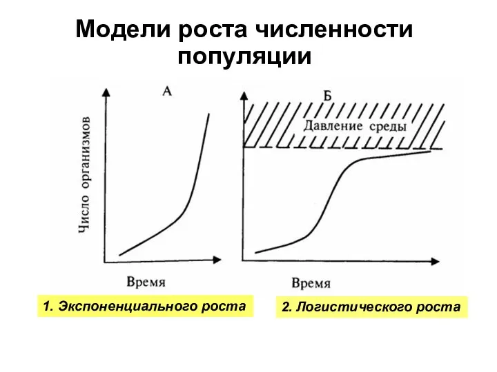 Модели роста численности популяции 1. Экспоненциального роста 2. Логистического роста