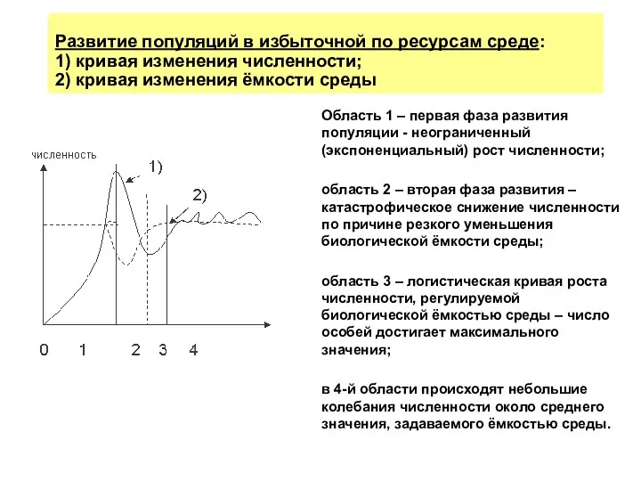 Развитие популяций в избыточной по ресурсам среде: 1) кривая изменения численности;