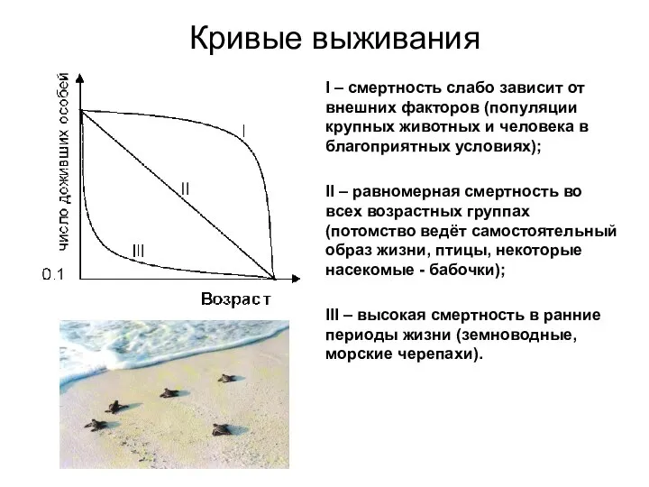 Кривые выживания I – смертность слабо зависит от внешних факторов (популяции