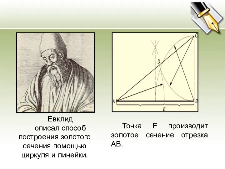 Евклид описал способ построения золотого сечения помощью циркуля и линейки. Точка