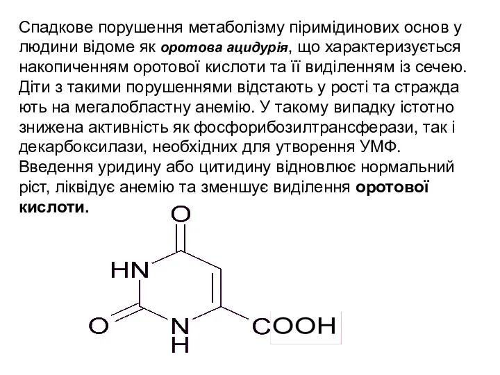 Спадкове порушення метаболізму піримідинових основ у людини відоме як оротова ацидурія,