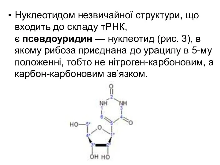 Нуклеотидом незвичайної структури, що входить до складу тРНК, є псевдоуридин —