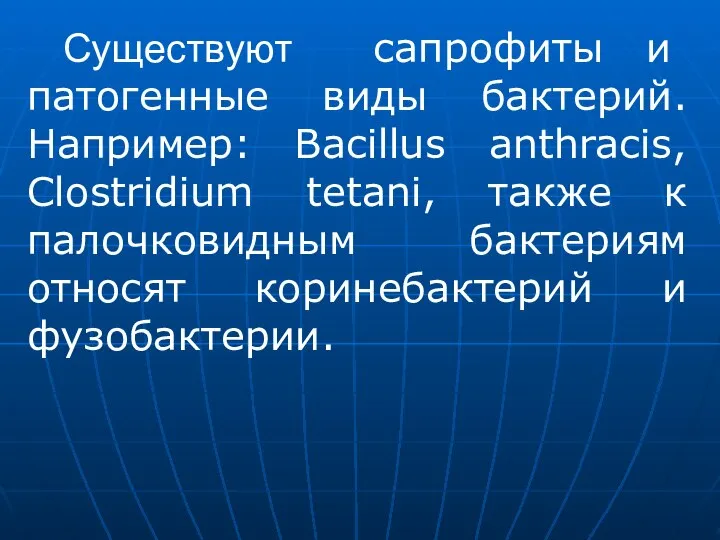 Существуют сапрофиты и патогенные виды бактерий. Например: Bacillus anthracis, Clostridium tetani,