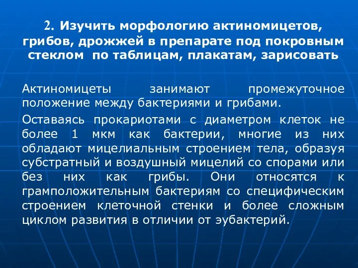 2. Изучить морфологию актиномицетов, грибов, дрожжей в препарате под покровным стеклом